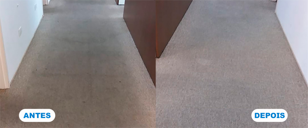 purific-higienizacao-limpeza-sofa-estofado-colchao-lavagem-carpetes-tapetes-colcao-poltrona-carro-006